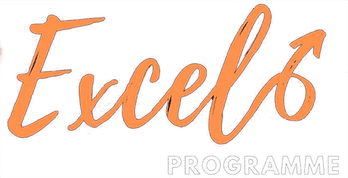Excel Programme logo