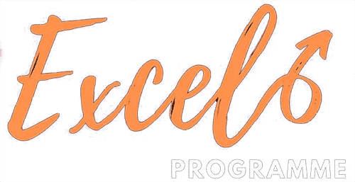 excel programme logo